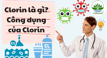 Clorin là gì? Công dụng của Clorin